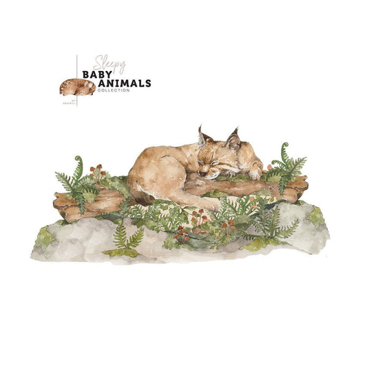 Sleep My Little Wild Cat Behind - The - Bed Wallsticker -