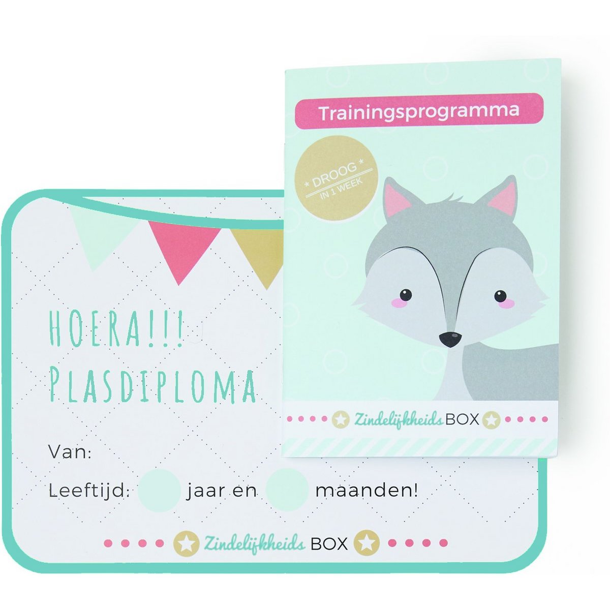 Töpfchenbox ab 2 Jahren