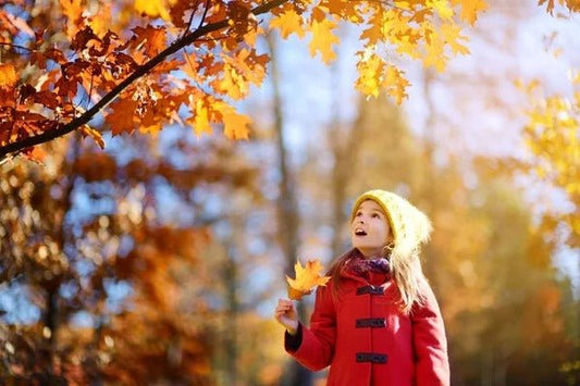 De herfst en z'n charme - Maak het huis lekker knus!