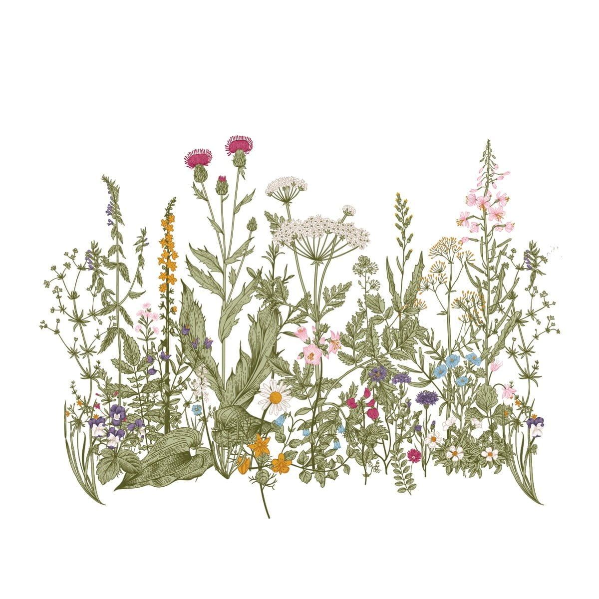 Dekornik Meadow Colour muursticker