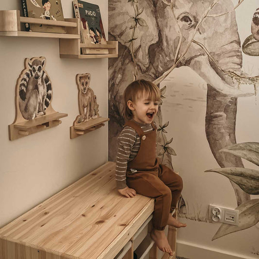 Dekornik Lemur wandplank met 3 haakjes
