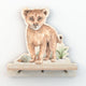 Dekornik Lion wandplank met 3 haakjes