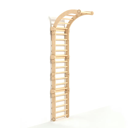 BusyKids Climbing Frame