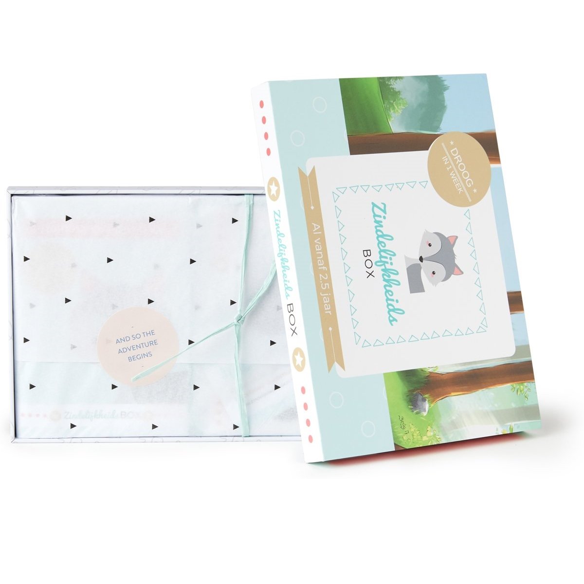 Potty training box - Animal theme - potty trained in 1 week